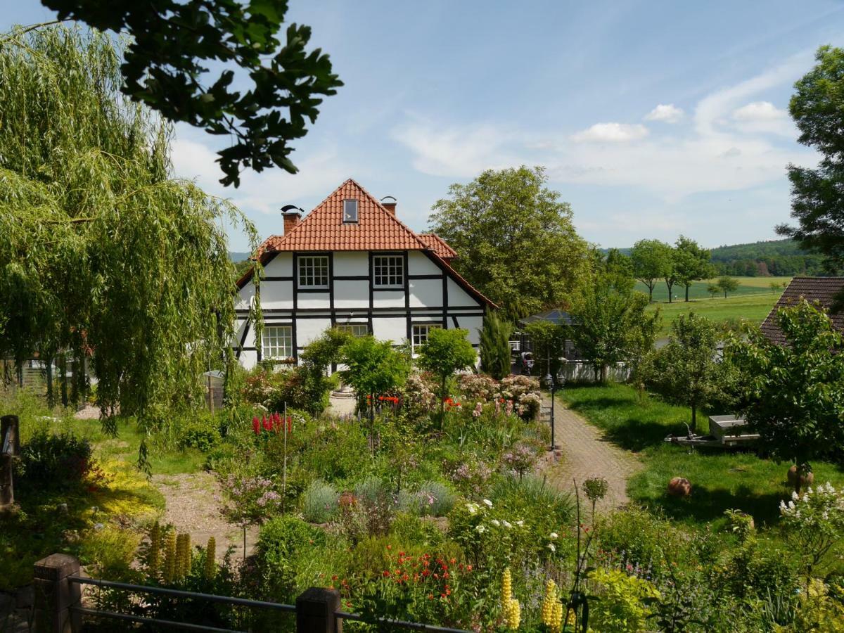 Ferienwohnung Weserblick Polle Esterno foto